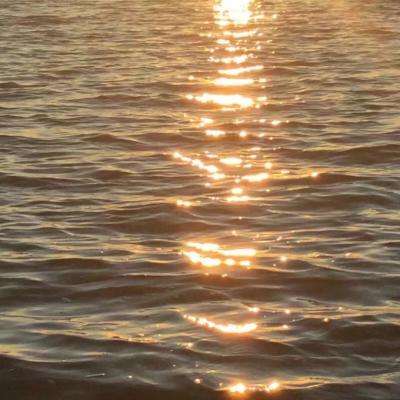 极速百家家乐截图